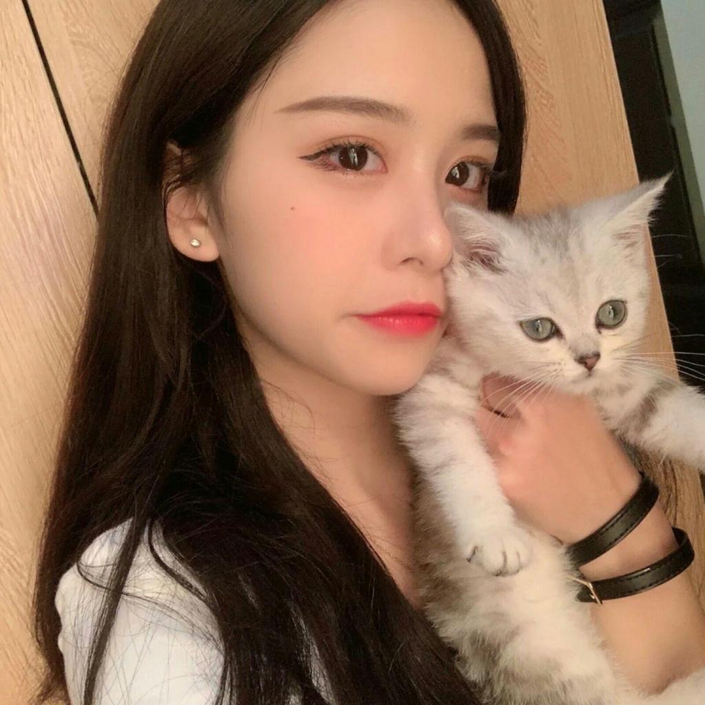 网赌软件在线下载