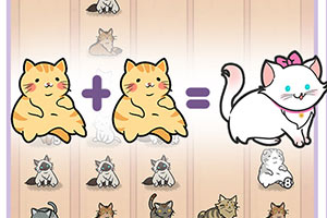 双彩网下载手机版