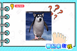 beat365中国在线体育下载手机版截图