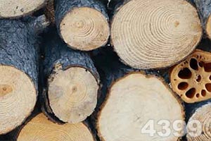 皇冠体育app正版下载