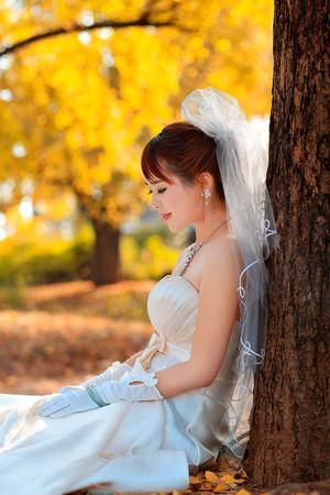 半岛官网入口体育截图