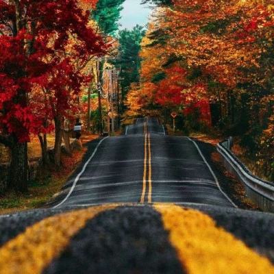 天天中彩票手机app下载