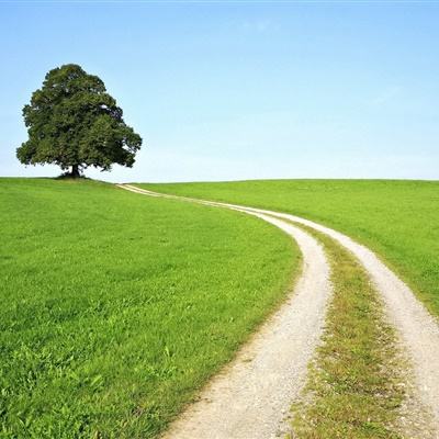 亚博·yabo下载手机版