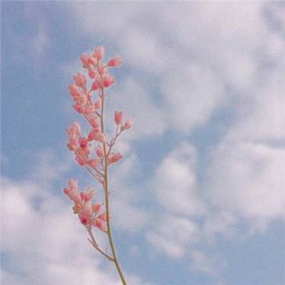 九游会演示说明