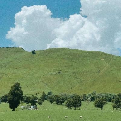 bat软件下载官方