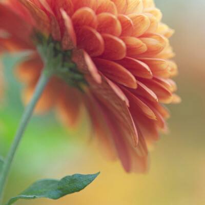 乐宝体育官网登录入口app下载