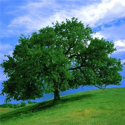 爱游戏app官方网站