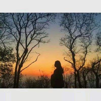 星空线上官网app下载