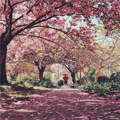 365平台手机app下载