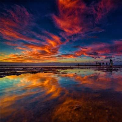 上下分的捕鱼app