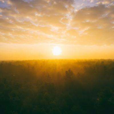 皇冠新体育下载手机版