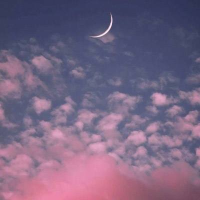 火狐电竞下载手机版