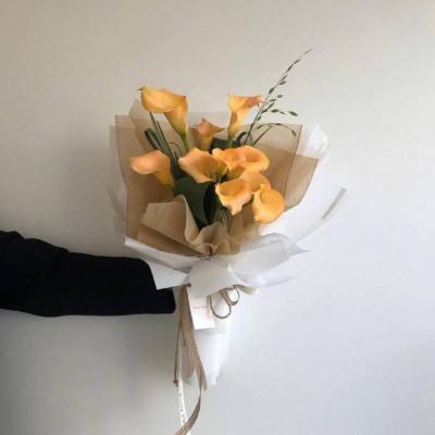 威斯尼斯人wns8888