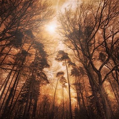 金年会体育登录入口