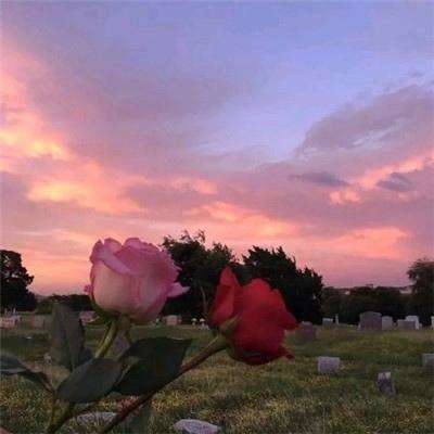 欧意交易所app官方下载