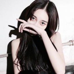 开元ky888棋牌开元登录