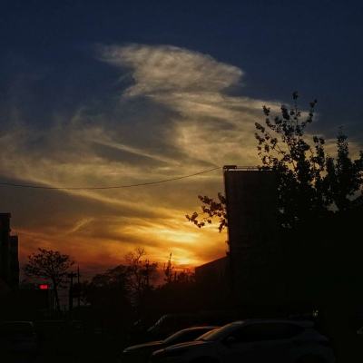 大发彩票手机app下载