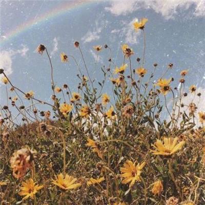 pg麻将胡了下载入口