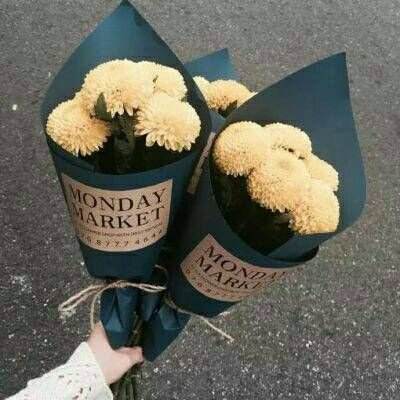 ROR体育app官方下载