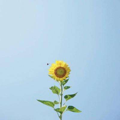 乐鱼app下载手机版截图