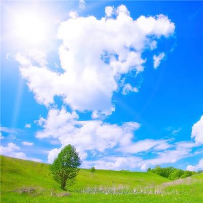 彩票1.999最高倍率