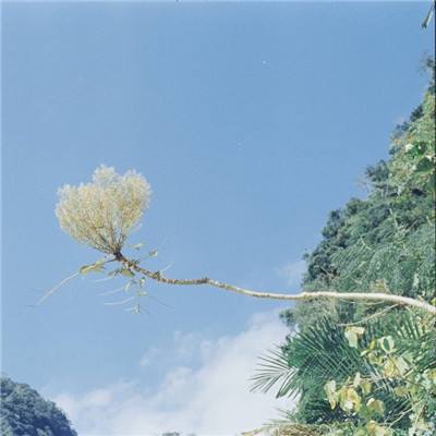 bob半岛·体育中国官方网站