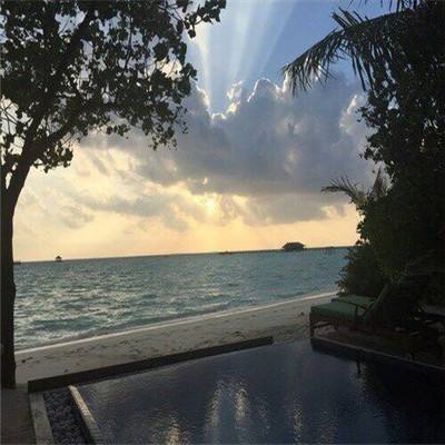 半岛官方APP入口手机app下载