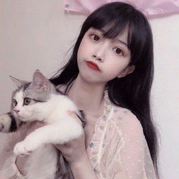 博业体育官网boye