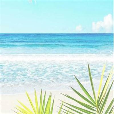 hth·华体育官方