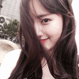 开云体云app下载手机版