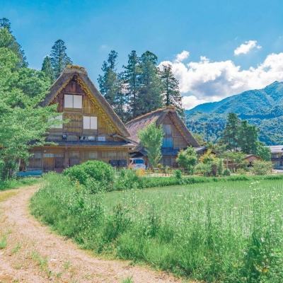 百人牛牛游戏软件手机app下载