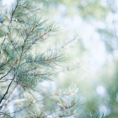 足球游戏手机app下载