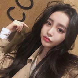 大发彩票手机app下载