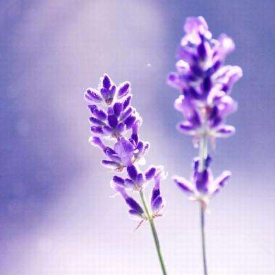 尊龙网址登录官网