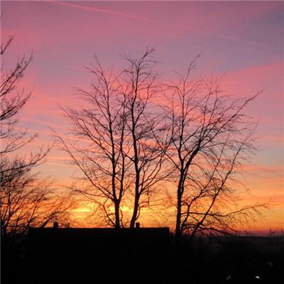 千亿国际手机app下载