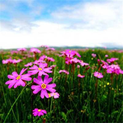 亚博BOB体育下载