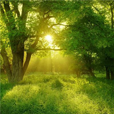 开开棋牌下载手机版