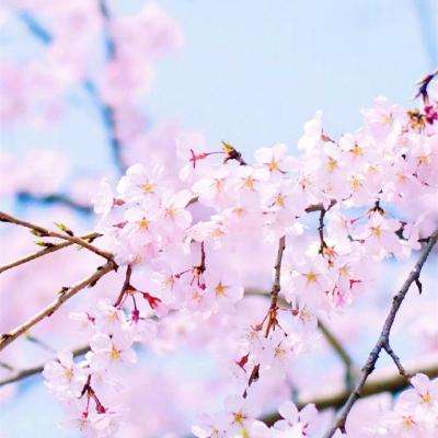 幸运快3在线计划网站