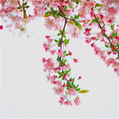 幸运快3在线计划网站