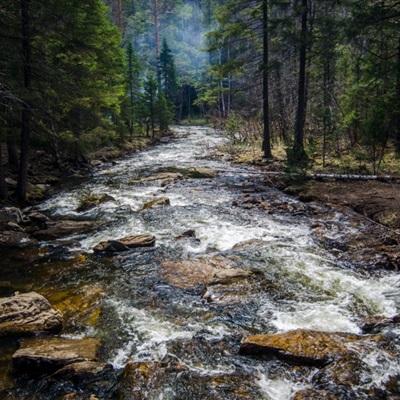 金沙集团9500官网app下载