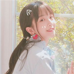 半岛·综合下载手机版