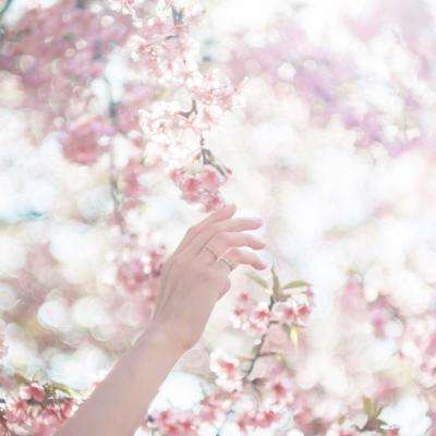 幸运快3在线官网