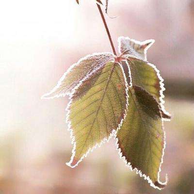 pg电子娱乐平台手机app下载