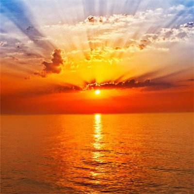 365在线app下载截图