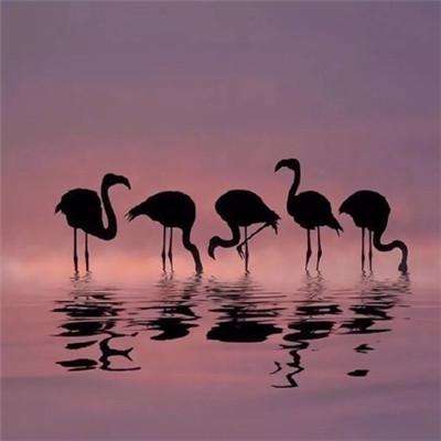 888电玩城游戏厅app下载