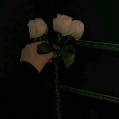 博鱼boyu体育官方网站