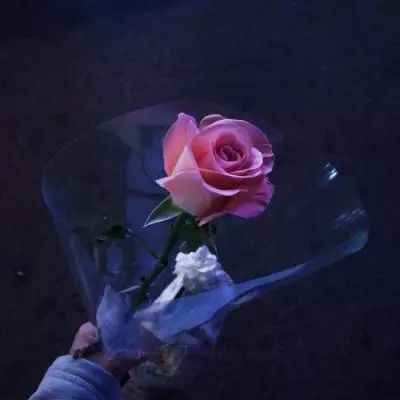 大发彩票手机app下载