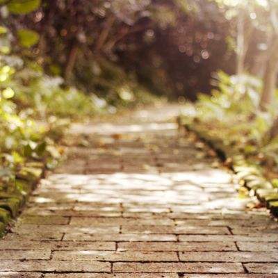 加拿大试玩软件