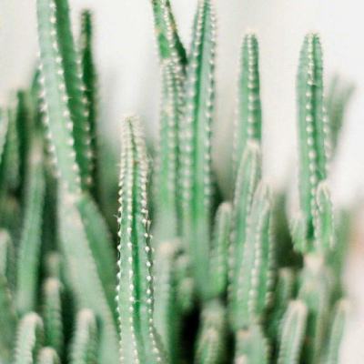 beat365平台下载手机版