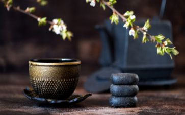 我的口头禅作文6篇